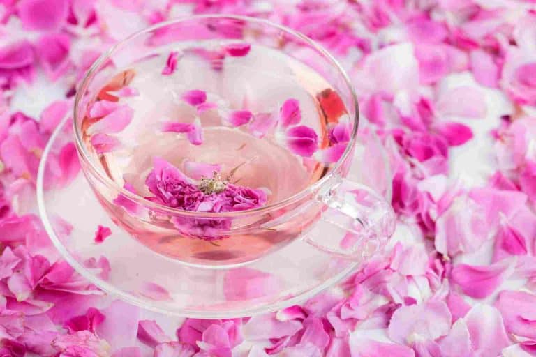 Rose Water Substitute: Get The Best Available Replacements