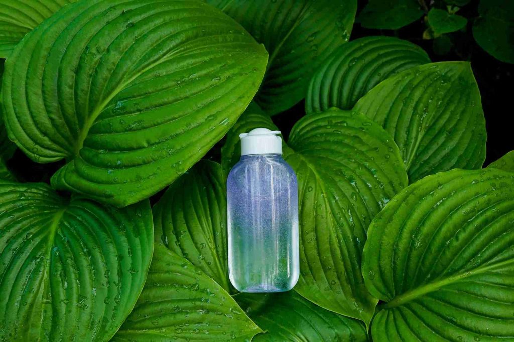Beautiful Water Bottle 